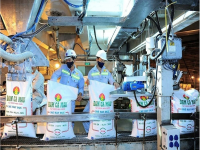 Cơ hội cho các doanh nghiệp phân đạm Việt Nam?